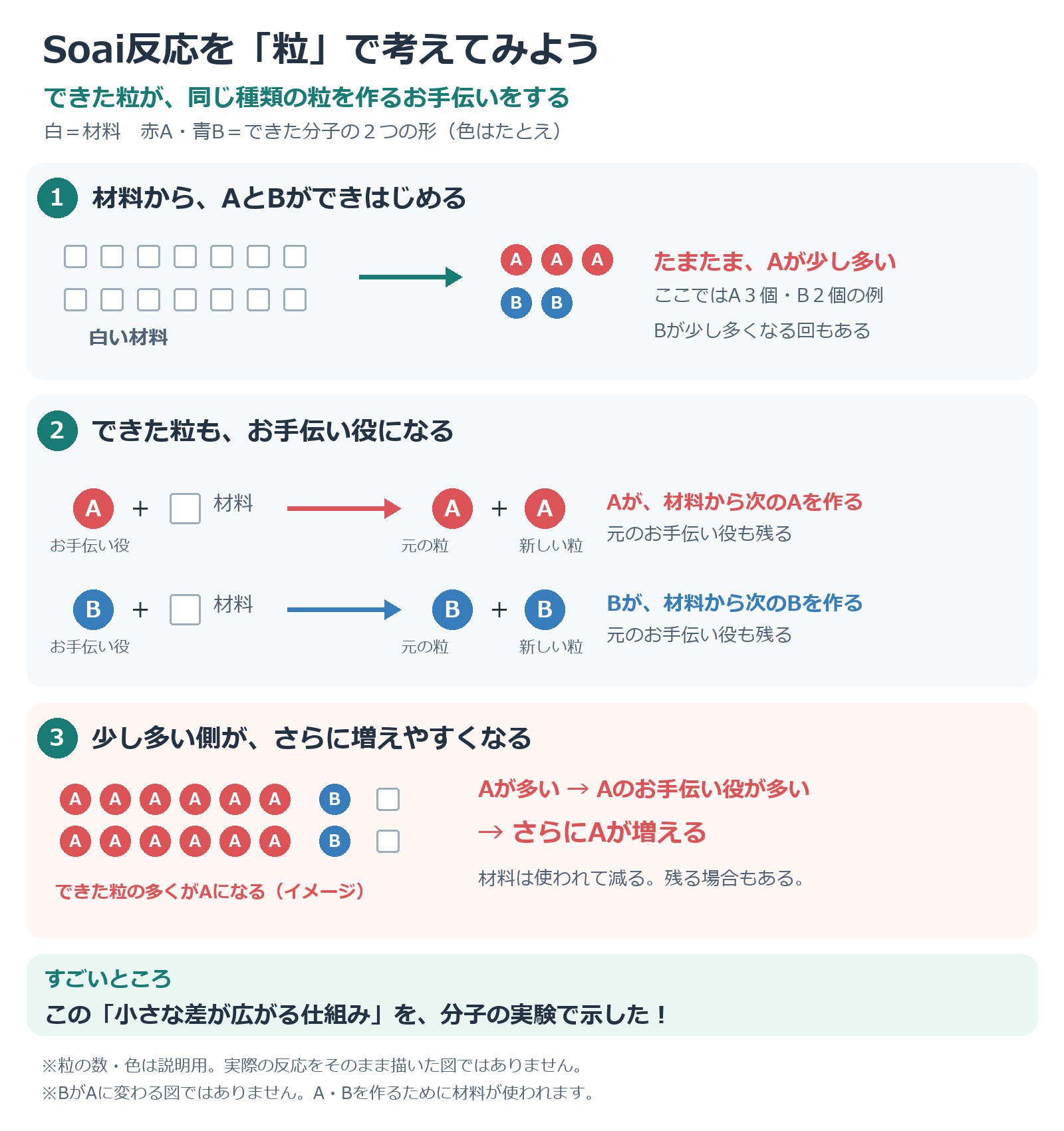 白い材料から赤Aと青Bの粒ができ、それぞれが同じ種類を作る手伝いをして、小さな差が広がるSoai反応の説明図
